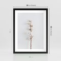 Plakat w ramie 30x40 - Minimalistyczna Gałązka Bawełny - bawełna, gałązka bawełny - rama czarna