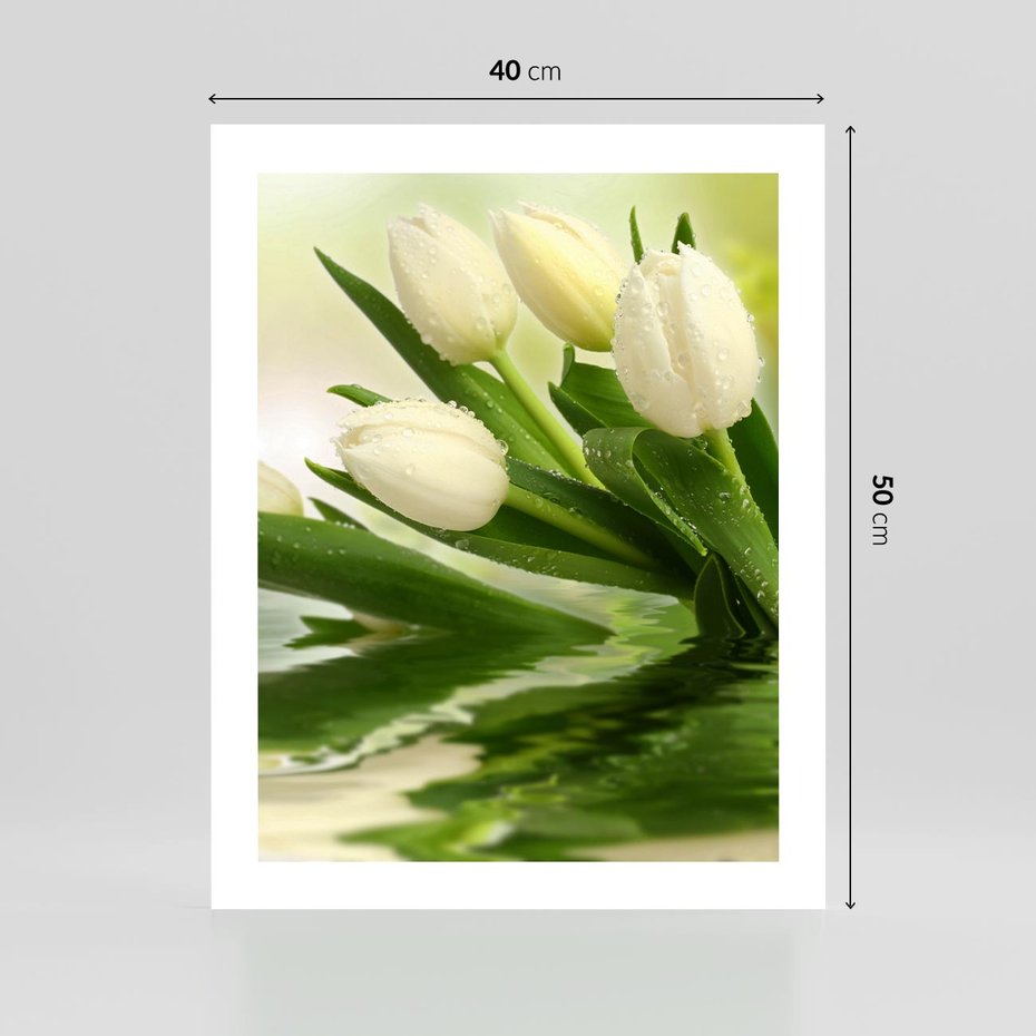 Plakat bez ramy 40x50 - Białe Piękno - białe, tulipany