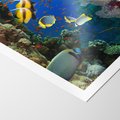 Plakat bez ramy 21x30 - Podwodne królestwo rafy koralowej - rafa, koralowa