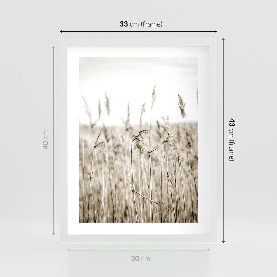 Plakat w ramie 30x40 - Nostalgiczny Pejzaż - suche trawy, pole - rama biała