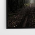 Obraz w ramie 50x50 - Urok Drogi - las, droga - rama czarna