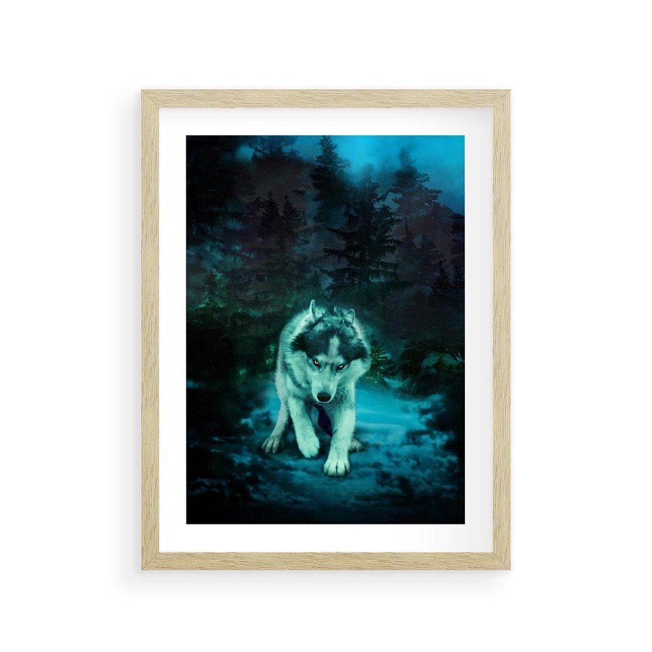 Plakat w ramie 30x40 - Siła i wdzięk natury - wilk, husky - rama drewno