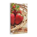 Obraz na płótnie 50x70 - Truskawka Radość Lata - truskawka, owoc