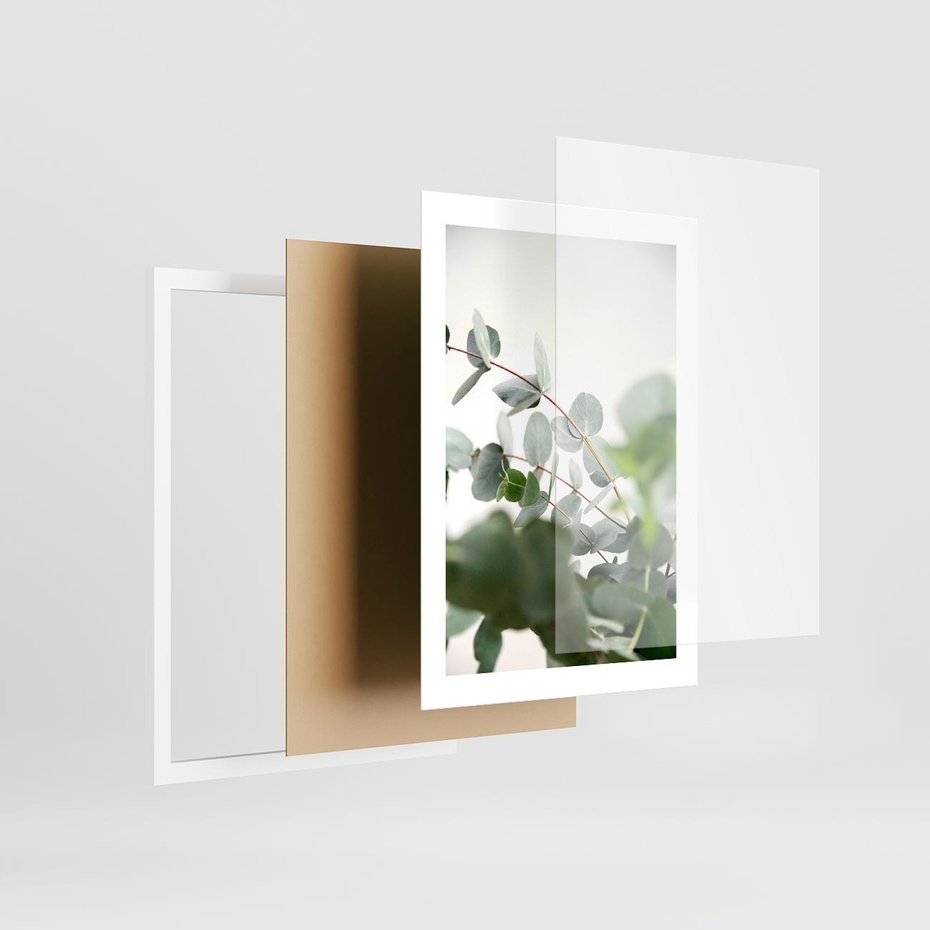 Plakat w ramie 30x40 - Zielony Świat Eukaliptusa - eukaliptus, fotografia - rama biała
