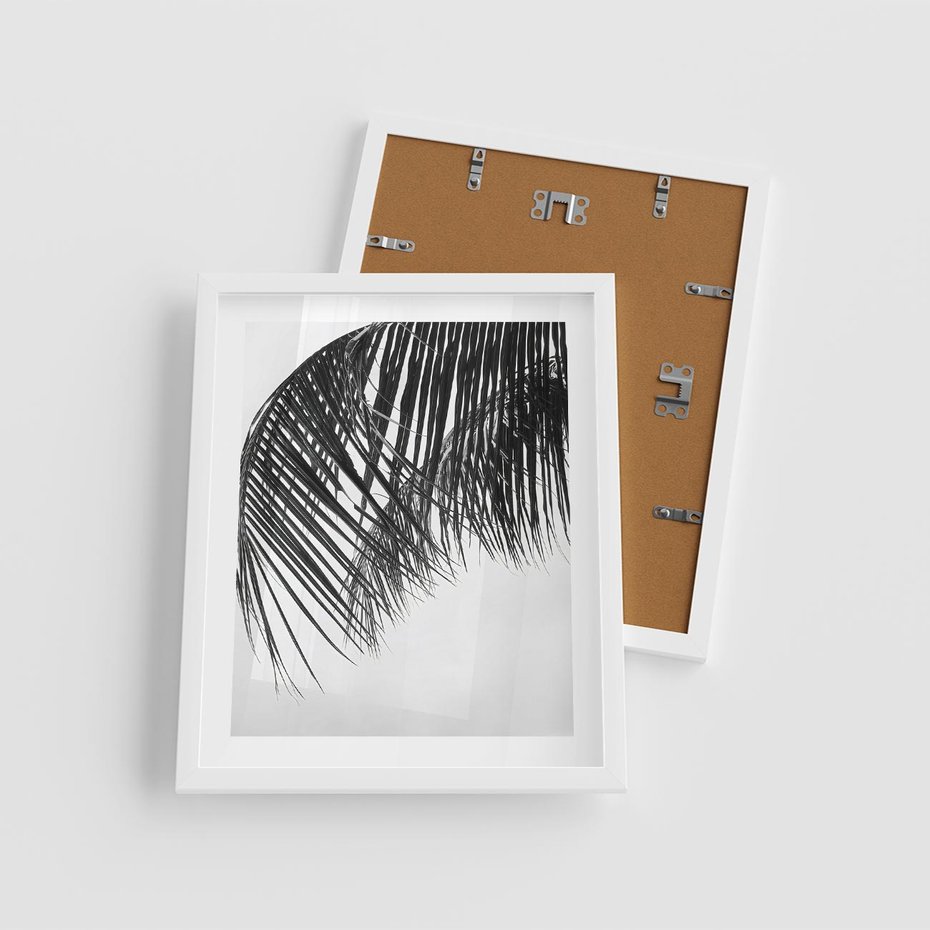 Plakat w ramie 40x50 - Czarno-Biały Kontrast - czarno białe zdjecie, palma - rama biała