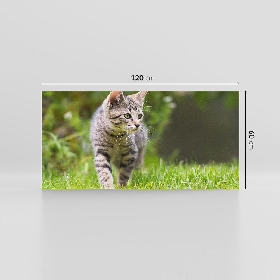 Obraz na płótnie 120x60 - Kocie polowanie w ogrodzie - kot, polowanie