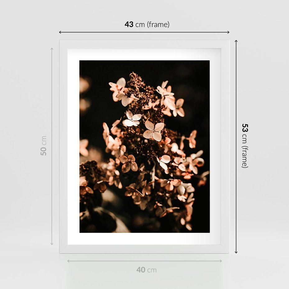 Plakat w ramie 40x50 - Hortensja - Suchy Kwiat w Sztuce - hortensja, suchy kwiat - rama biała