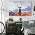 Obraz na płótnie 70x50 - Jeleń w Uśpionym Krajobrazie - jeleń na tle gór, ośnieżone góry