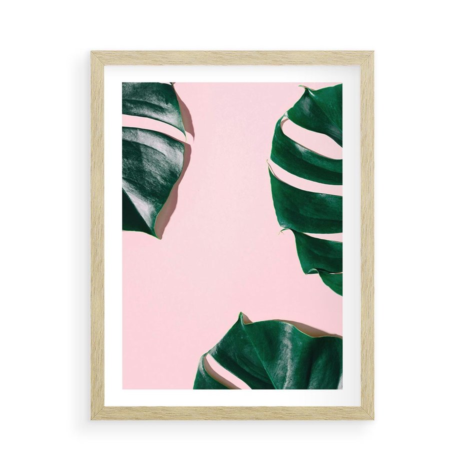 Plakat w ramie 50x70 - Minimalizm Natury - minimalizm, liście monstery - rama drewno