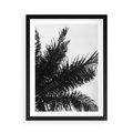 Plakat w ramie 50x70 - Czas Zapomnienia - palmy, czarno biała fotografia - rama czarna