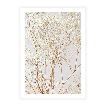 Plakat bez ramy 30x40 - Minimalistyczna Delikatność - białe kwiaty, gipsówka