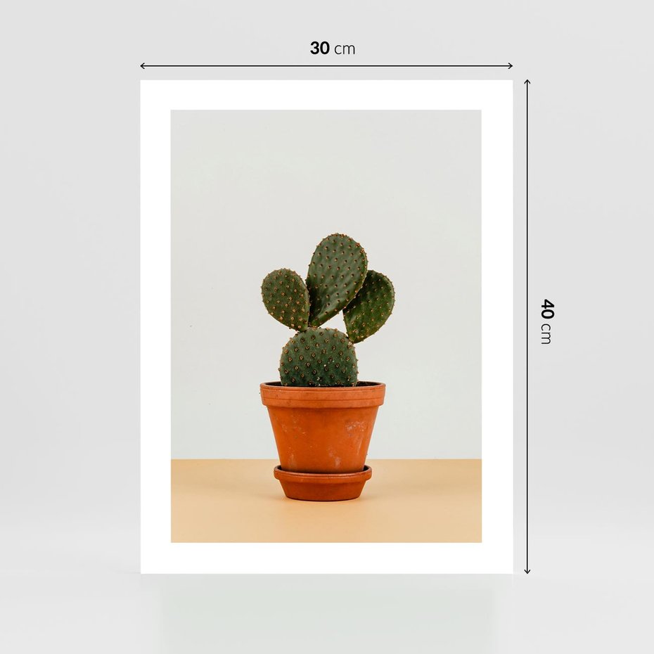 Plakat bez ramy 30x40 - Kwiatowy taniec kaktusa - kaktus, kwiat
