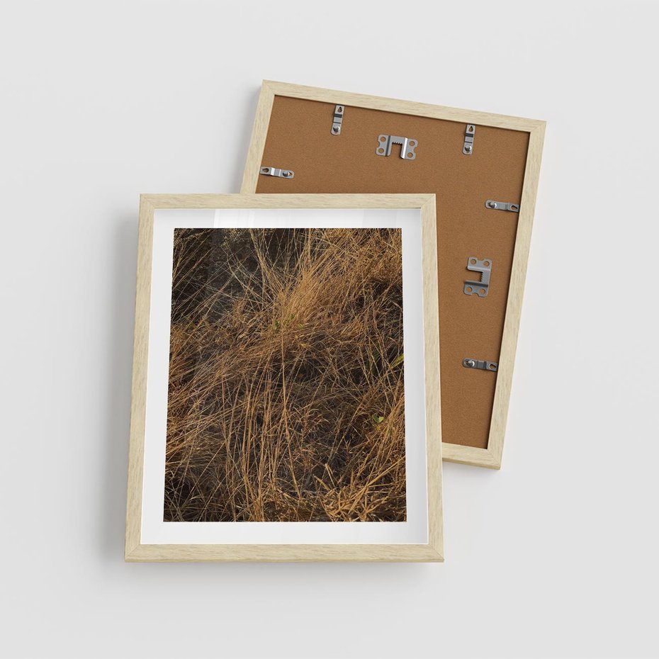 Plakat w ramie 40x50 - Szlachetna Suchość Traw - trawy, suche trawy - rama drewno