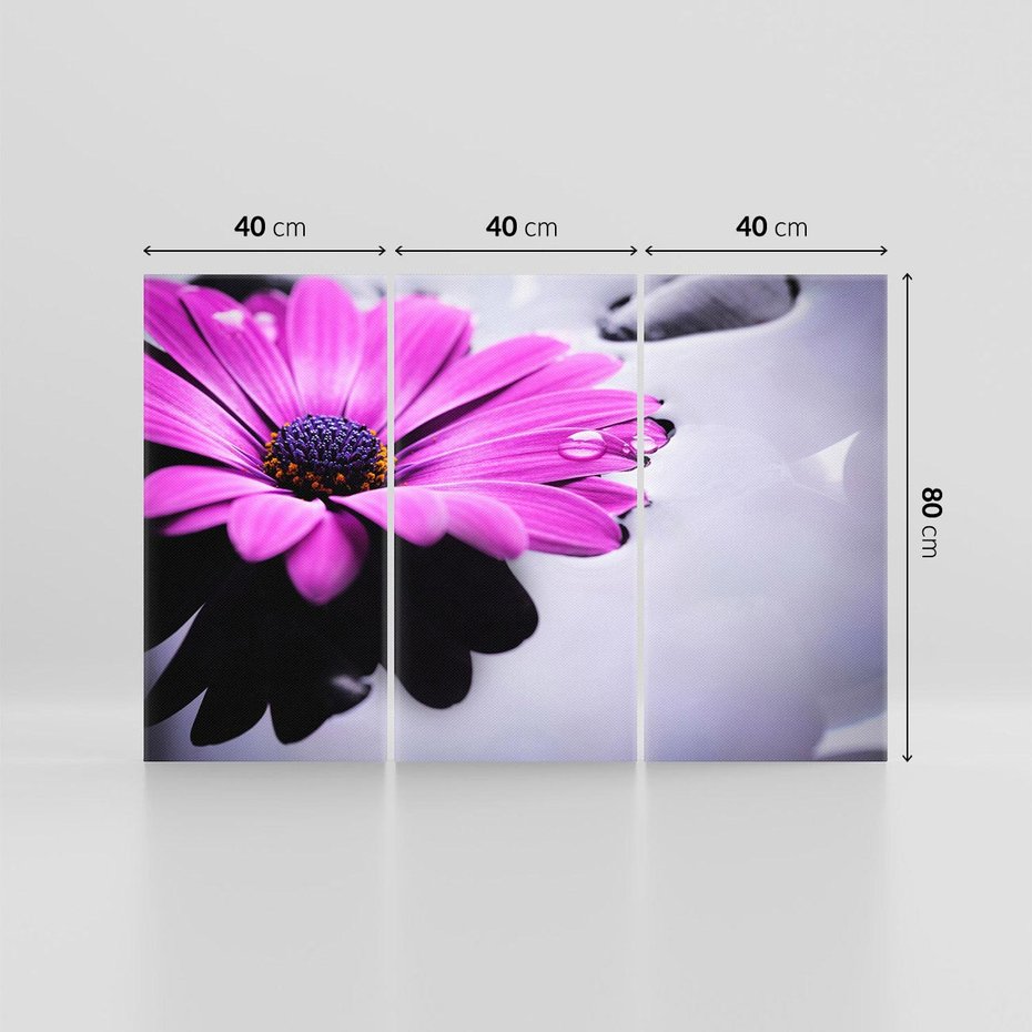 Obraz na płótnie 120x80 - kwiatowa harmonia - kwiat, SPA