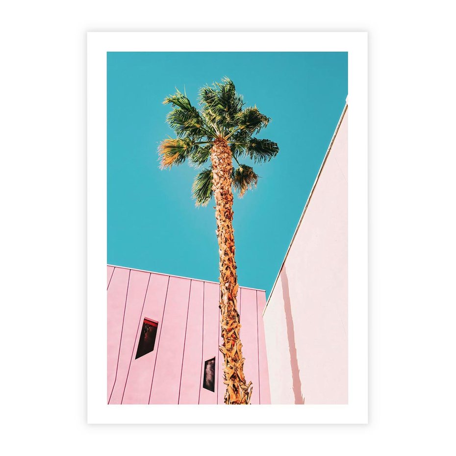 Plakat bez ramy 21x30 - Palma w Miami - palma, miami