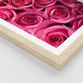 Plakat w ramie 30x40 - Romantyczne róże w pełnym rozkwicie - róże, kwiaty - rama drewno