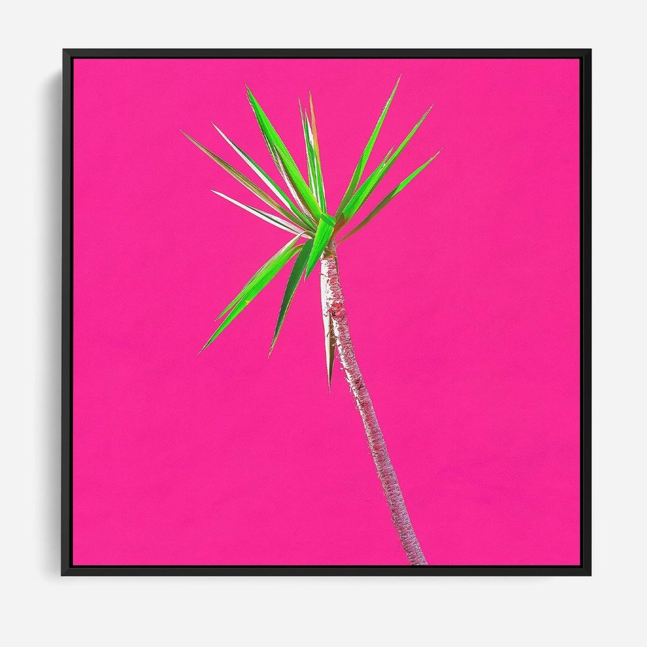 Obraz w ramie 50x50 - Retro Stylizacja - palma, liście - rama czarna