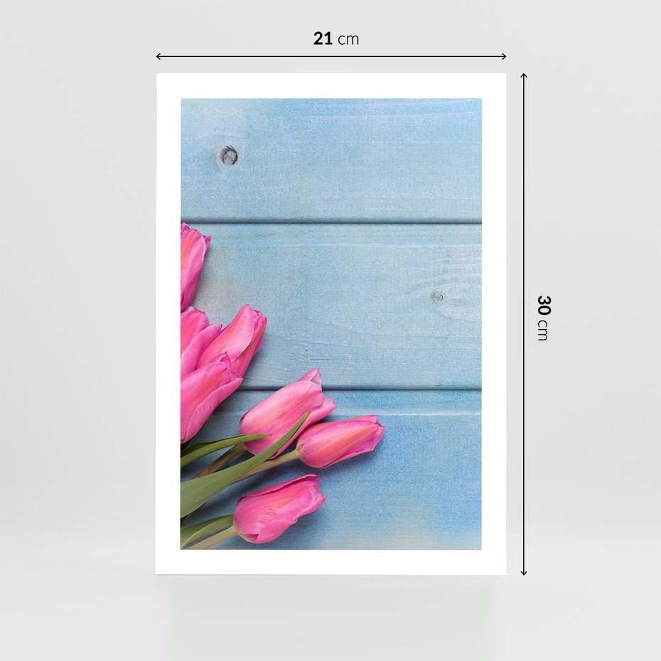 Plakat bez ramy 21x30 - Piękno w pełnym rozkwicie - kwiaty, tulipany