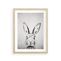 Plakat w ramie 30x40 - Szkicowany królik w grafice - szkic, królik - rama drewno