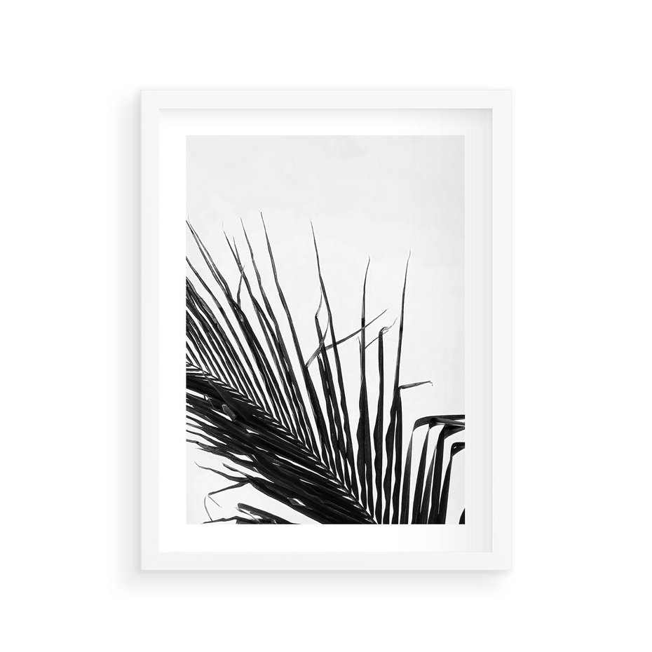 Plakat w ramie 30x40 - Sztuka Natury: Monochromatyczna Palma - palma, czarno białe zdjęcie - rama biała
