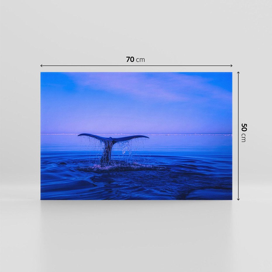 Obraz na płótnie 70x50 - Morze, fale i skały - wieloryb, morze
