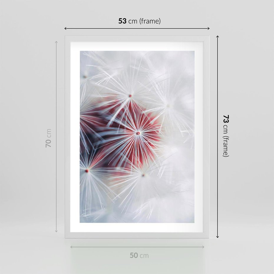 Plakat w ramie 50x70 - Minimalistyczna Delikatność - zbliżenie, dmuchawce - rama biała