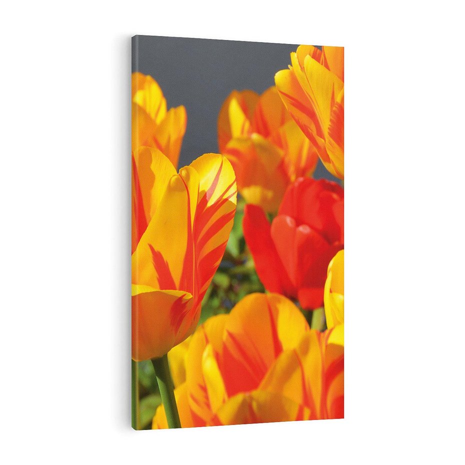 Obraz na płótnie 50x70 - Kwiatowa Harmonia - kwiaty, kwiat