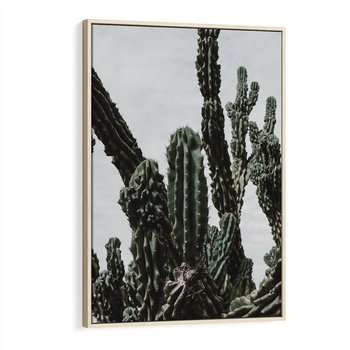 Obraz w ramie 80x120 - Boho oaza wśród kaktusów - kaktusy, pustynia - rama drewno