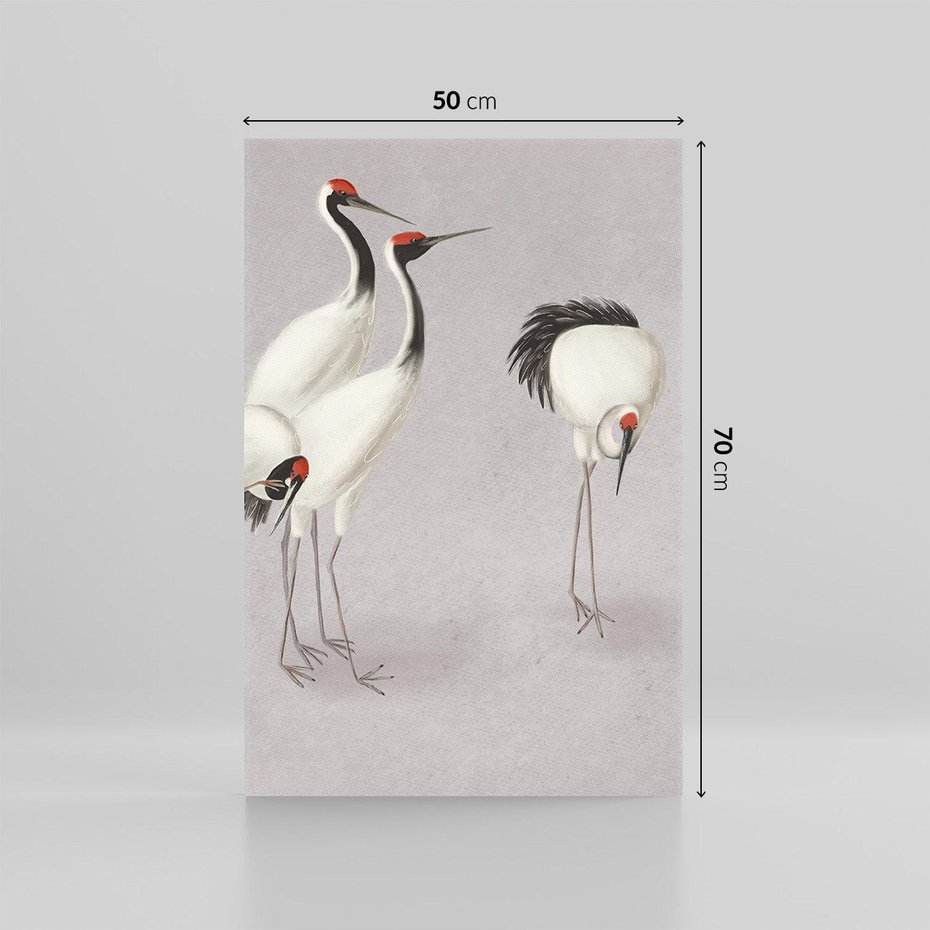 Obraz na płótnie 50x70 - Spojrzenie wstecz w pędzlu - szkic rysunek, japońskie żurawie
