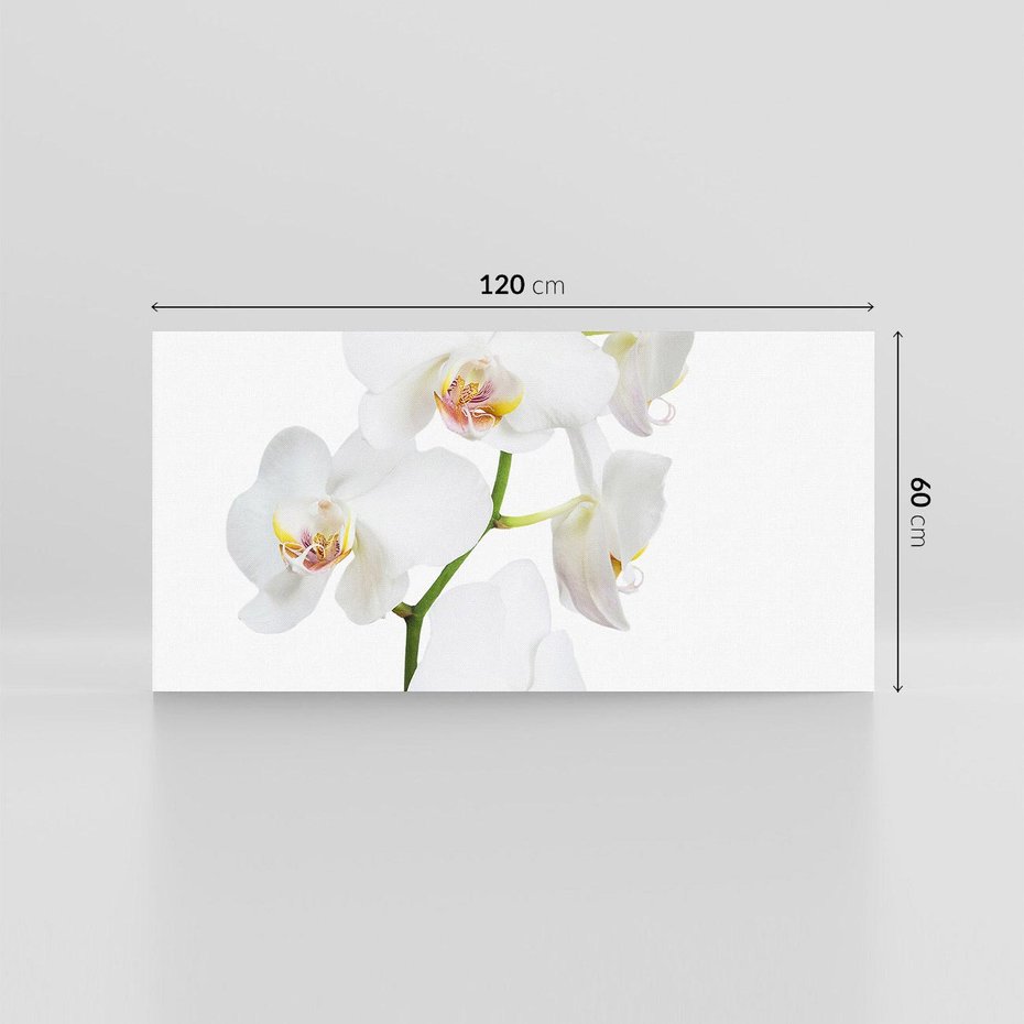 Obraz na płótnie 120x60 - Ekskluzywny Relaks - storczyk, spa