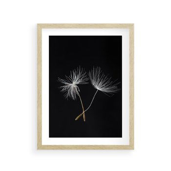 Plakat w ramie 30x40 - Delikatność Wiatru - dmuchawce, makro - rama drewno