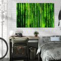 Obraz na płótnie 120x80 - Bambusowy urok zielonej harmonii - bambus, zieleń