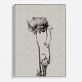 Obraz w ramie 70x100 - Cień Kwiatowej Delikatności - kwiat, cień - rama biała
