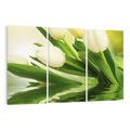 Obraz na płótnie 120x80 - Białe Piękno - białe, tulipany