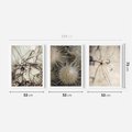 Zestaw obrazy w ramie 50x70 galeria - Dmuchawce, krople, wody, makro - rama biała