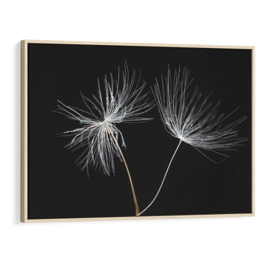 Obraz w ramie 120x80 - Delikatność Wiatru - dmuchawce, makro - rama drewno