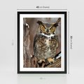 Plakat w ramie 40x50 - Tajemniczy Stróż - sowa, las - rama czarna