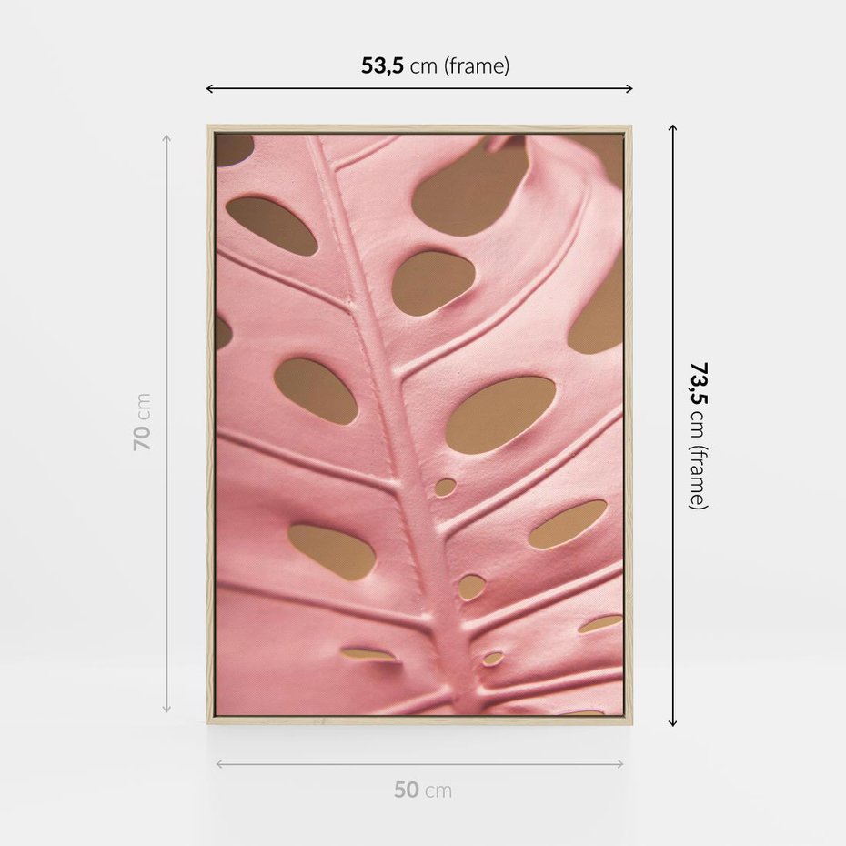 Obraz w ramie 50x70 - Różowa monstera w pełnym rozkwicie - różowa, monstera - rama drewno