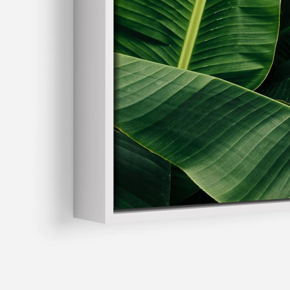 Obraz w ramie 100x70 - Zaklęta roślinna ekspresja - liście bananowca, gęsto ułożone - rama biała