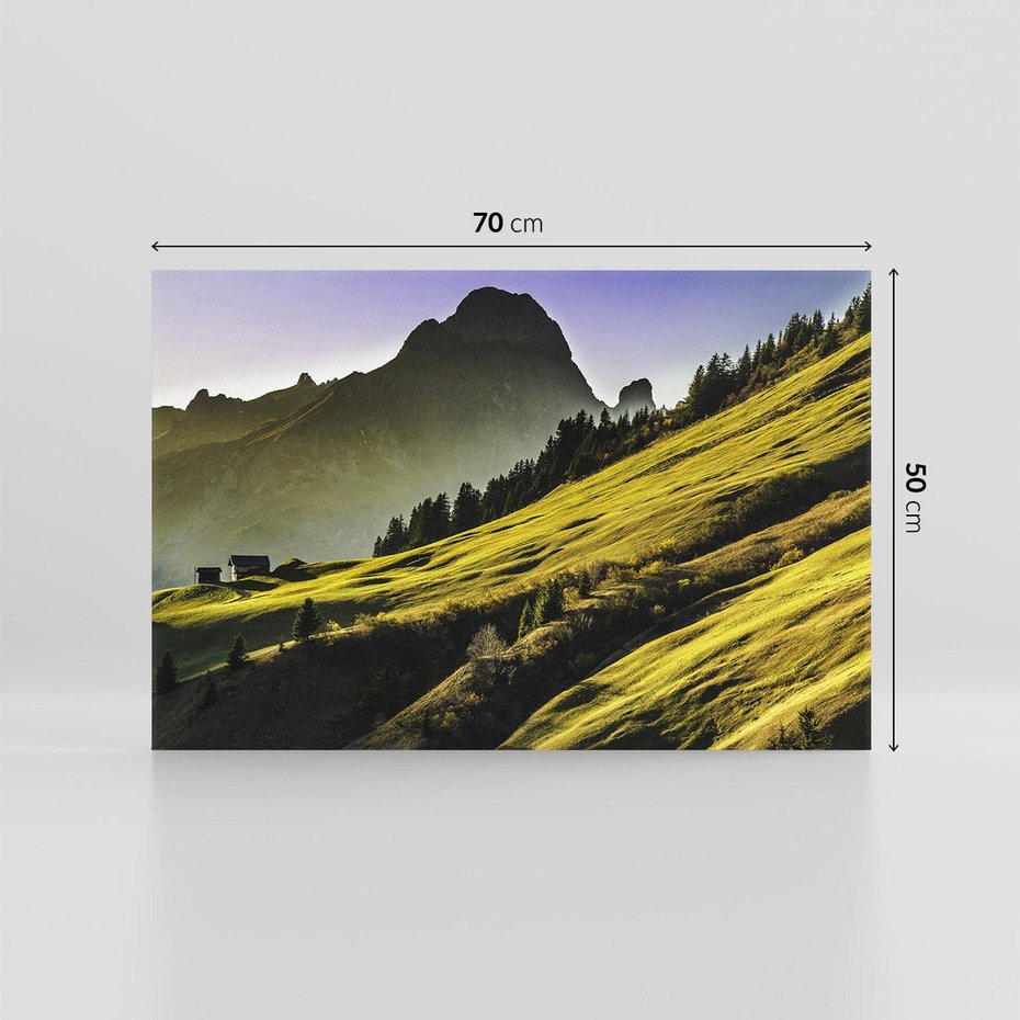 Obraz na płótnie 70x50 - Górska łąka - góry, łąka