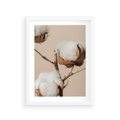 Plakat w ramie 30x40 - Bawełniana melancholia - bawełna, suche - rama biała