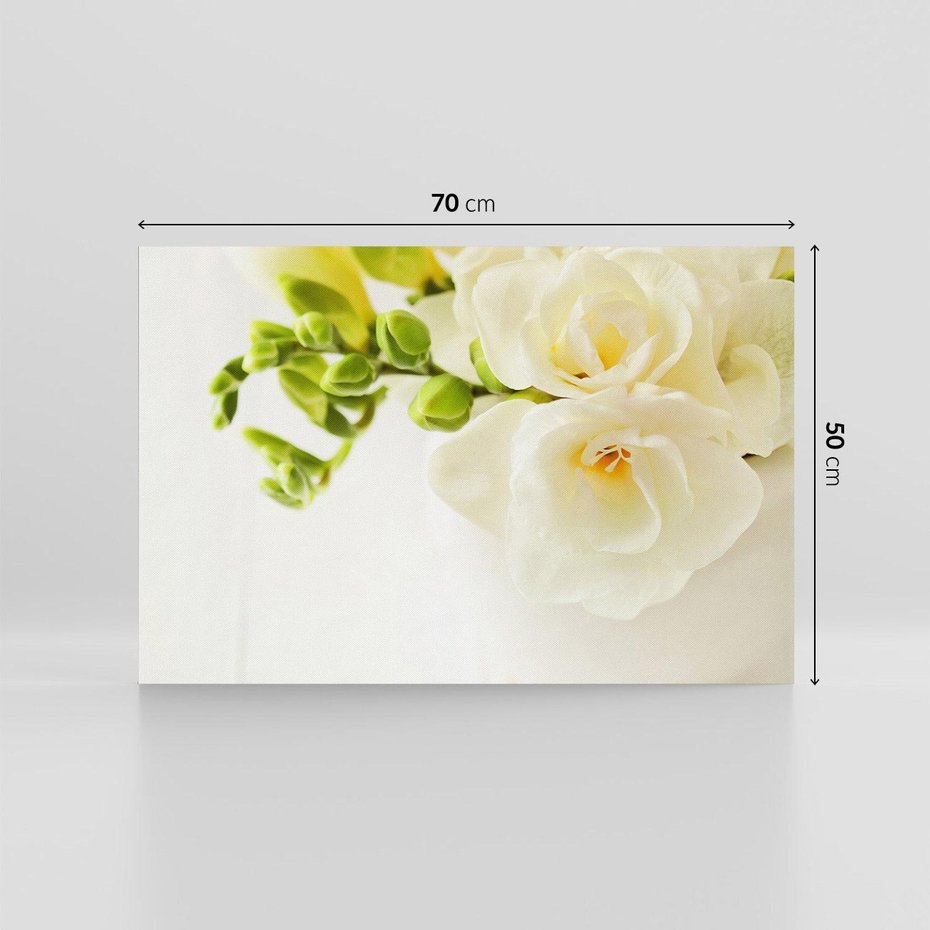Obraz na płótnie 70x50 - Subtelność białych frezji - frezja, białe