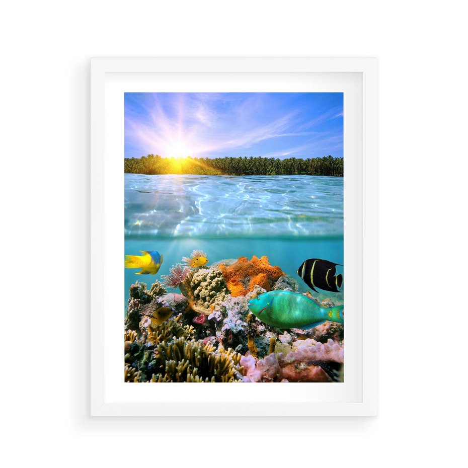 Plakat w ramie 40x50 - Rafa Koralowa - Podwodne Cuda - rafa, koralowa - rama biała