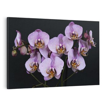 Obraz na płótnie 120x80 - Kwiatowy zachwyt pełen kolorów - kwiat, kwiaty