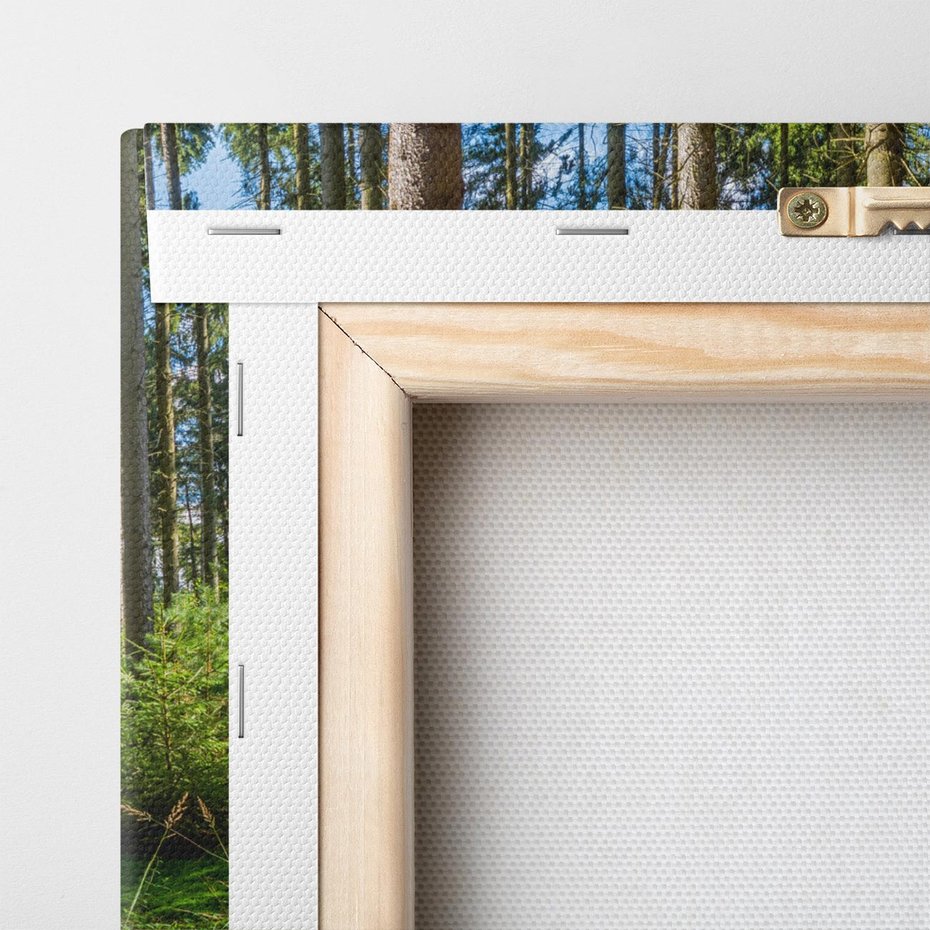 Obraz na płótnie 120x60 - Mistyfikacje lasu - las, drzewa