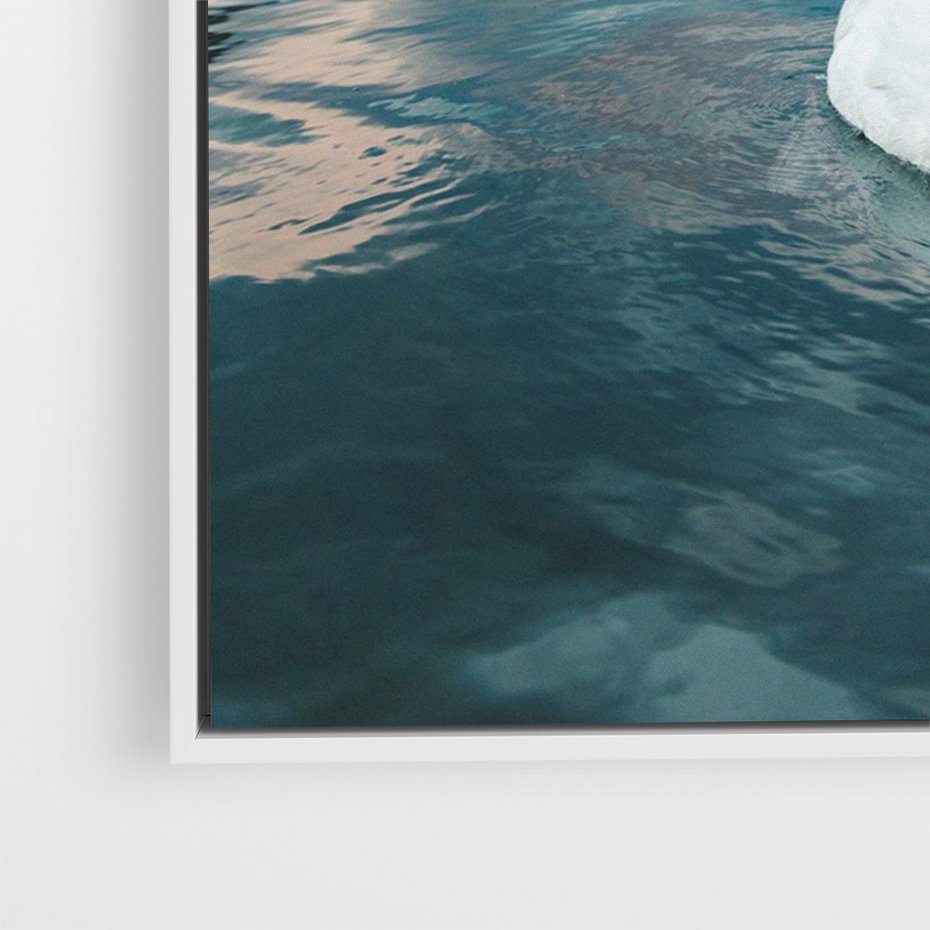 Obraz w ramie 70x100 - Łabędzi Śpiew - fotografia, plakat - rama biała