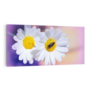 Obraz na płótnie 120x60 - Stokrotki wśród traw urok natury - stokrotki, kwiat