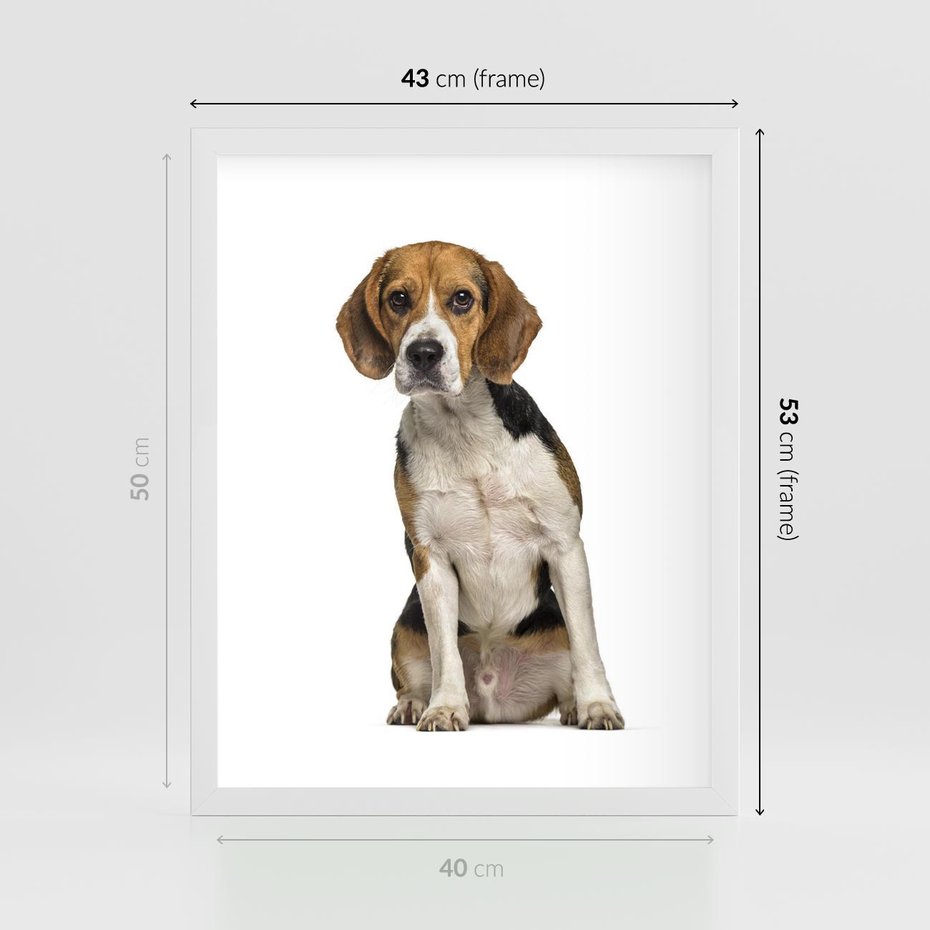 Plakat w ramie 40x50 - Wierność i radość - pies, piesek - rama biała