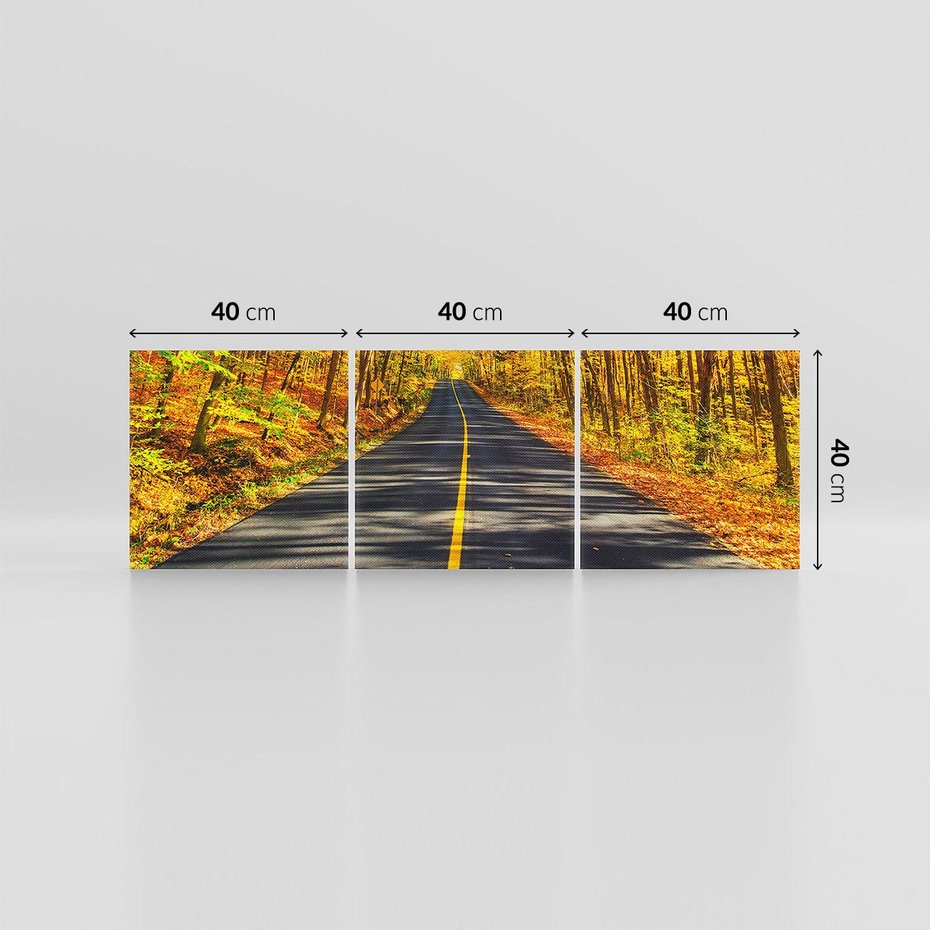Obraz na płótnie 120x40 - Droga przez jesienny las - droga, las