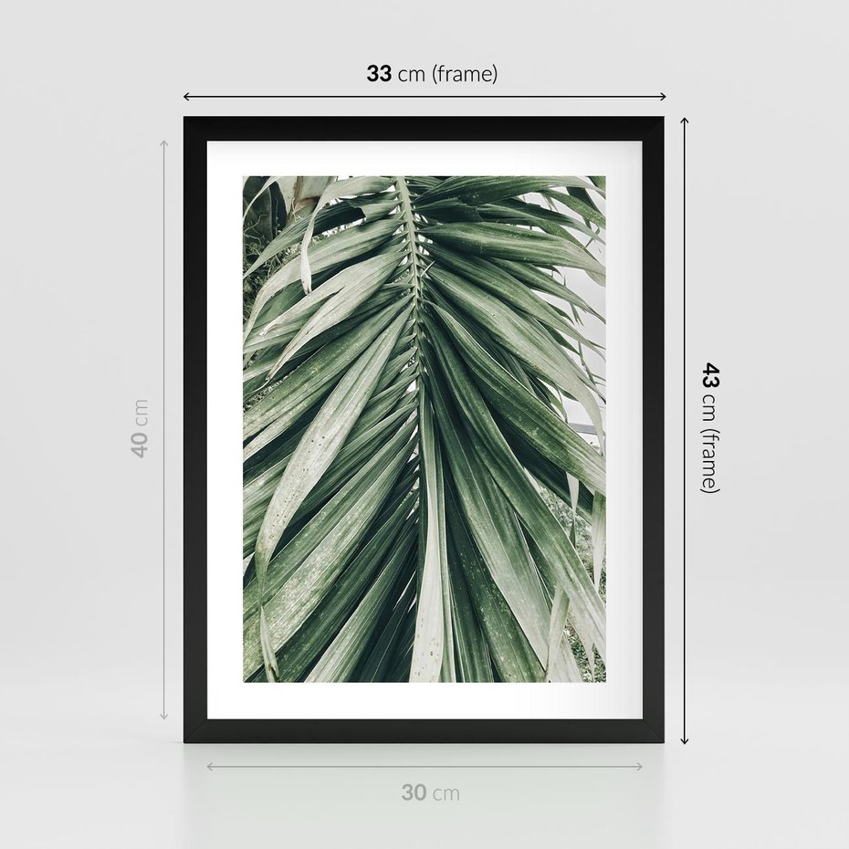 Plakat w ramie 30x40 - Spokojna Piękność Palmowych Liści - palma, liście palmy - rama czarna